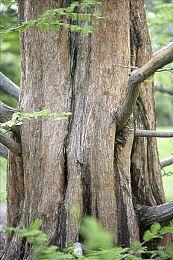 OnexPlayer壹号掌机mini版正式发布 7英寸售价5599起